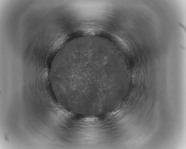 X0000095530314200712281527