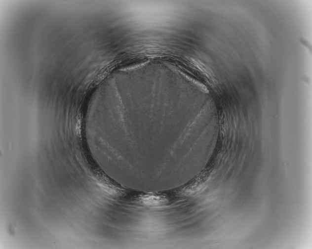 X0000095530315200712281527