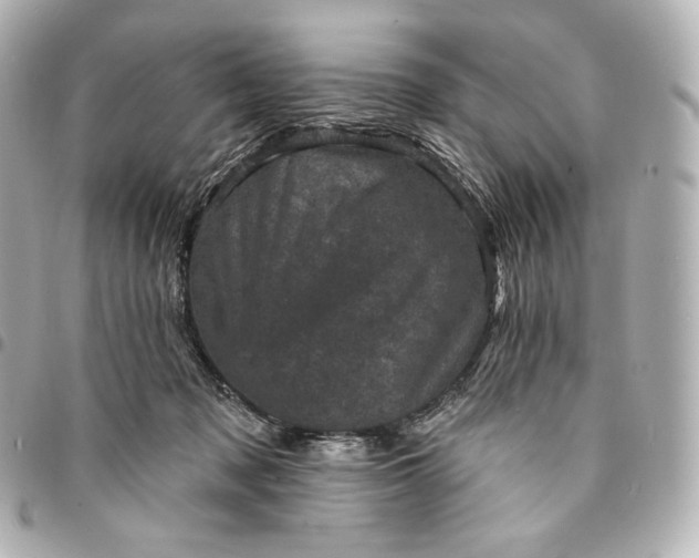 X0000095530317200712281527