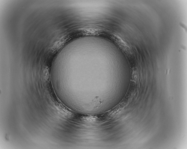 X0000095530318200712281527