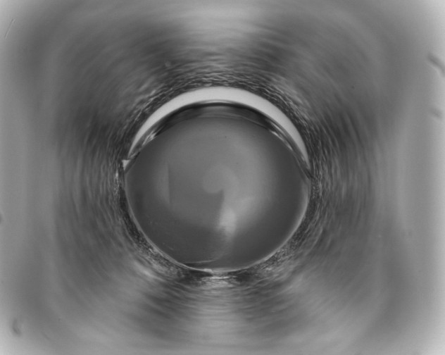 X0000095530320200712281527
