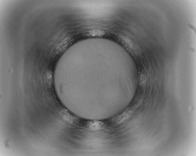 X0000095530321200712281527