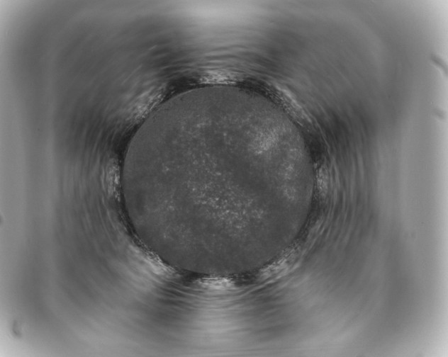 X0000095530322200712281527