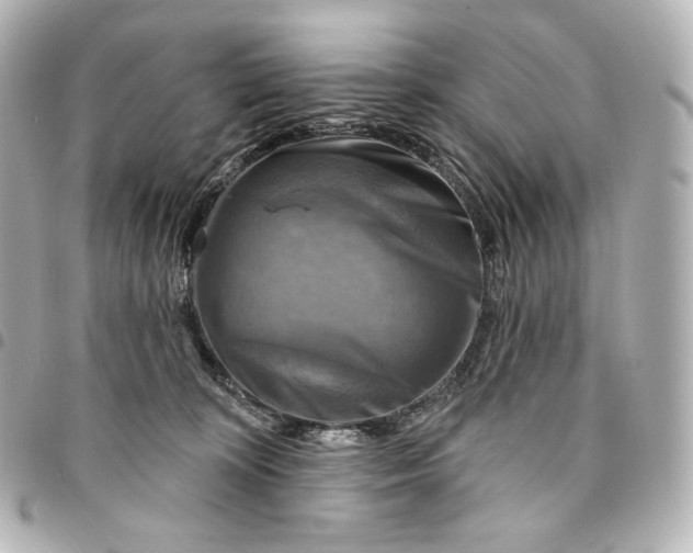 X0000095530324200712281527