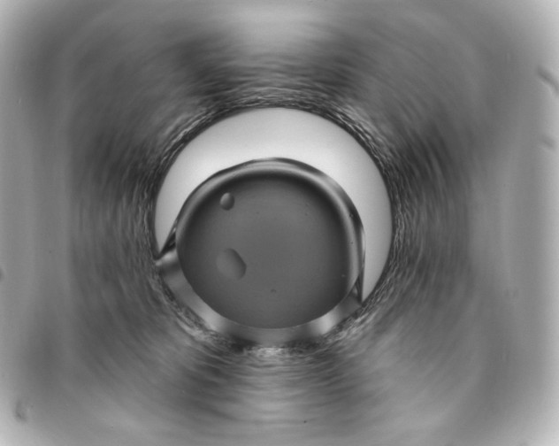 X0000095530325200712281527