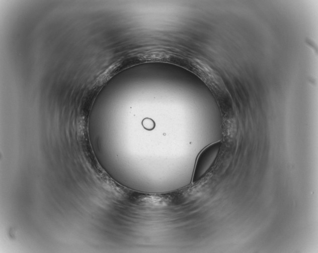 X0000095530326200712281527