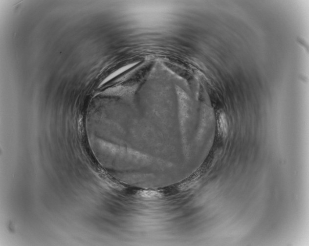 X0000095530327200712281527