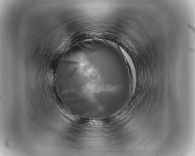 X0000095530328200712281527