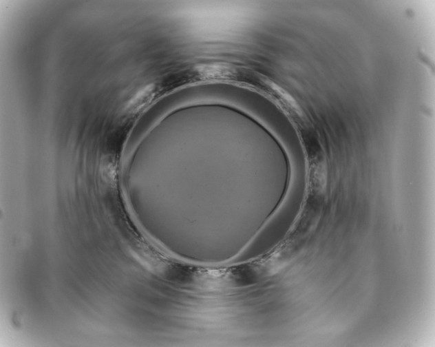 X0000095530329200712281527