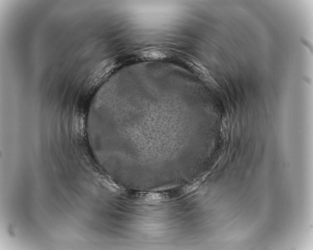 X0000095530330200712281527