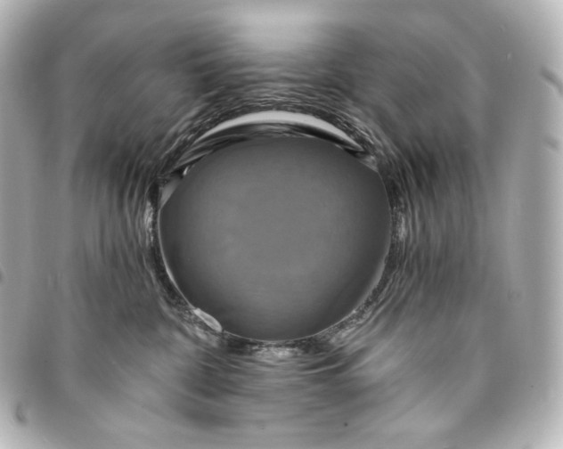 X0000095530332200712281527