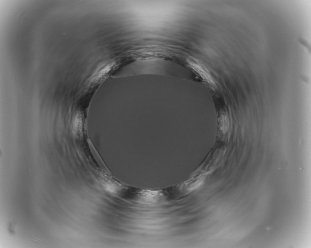 X0000095530333200712281527
