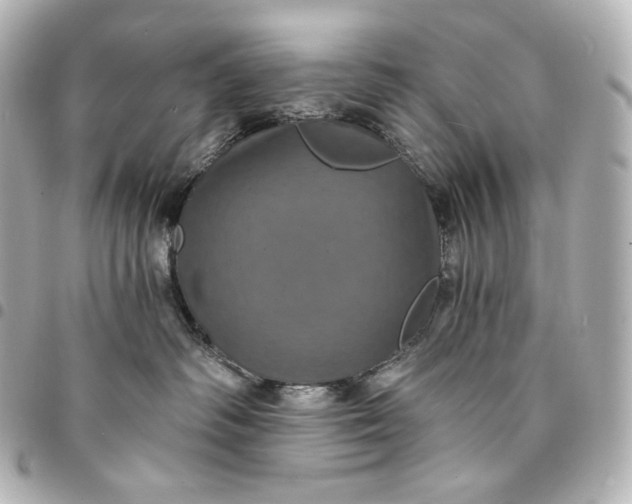 X0000095530334200712281527