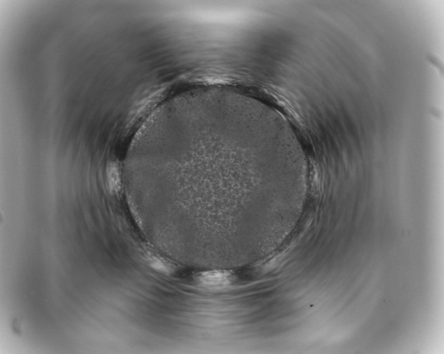 X0000095530335200712281527