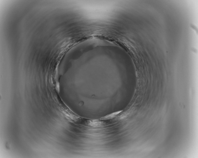 X0000095530336200712281527