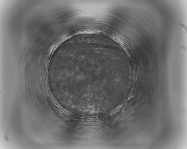 X0000095530337200712281526