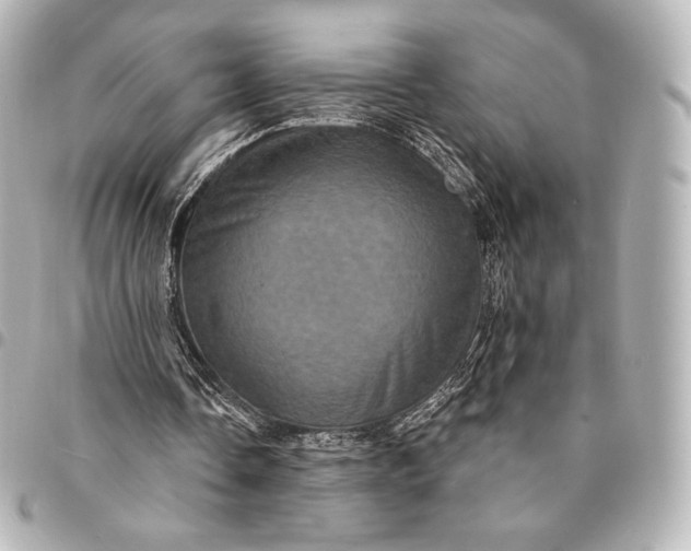 X0000095530338200712281526