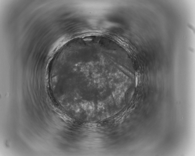 X0000095530339200712281526