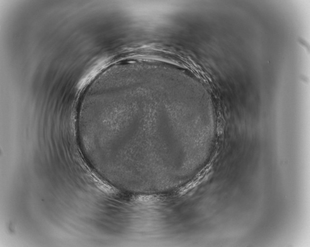 X0000095530341200712281526