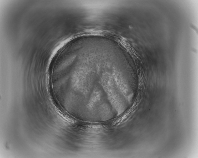 X0000095530342200712281526
