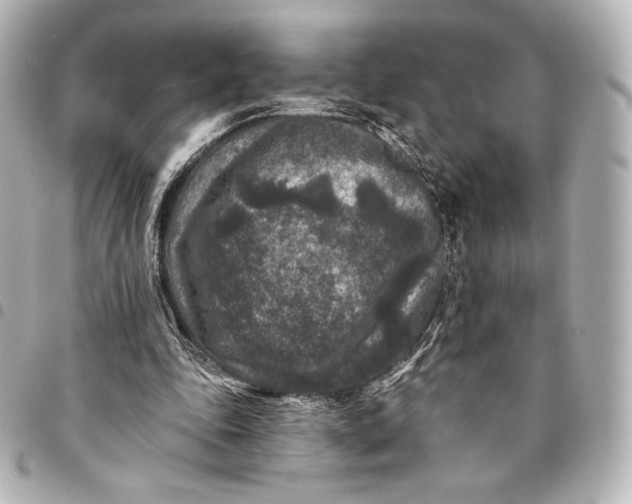 X0000095530343200712281526