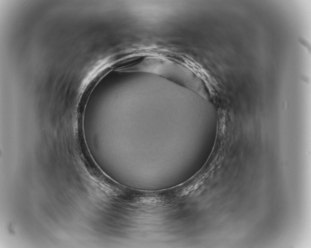 X0000095530344200712281526