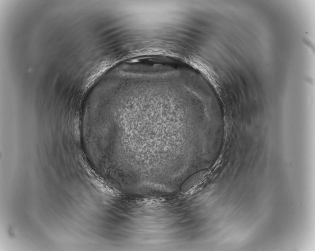 X0000095530345200712281526