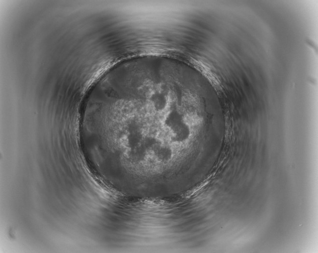 X0000095530346200712281526