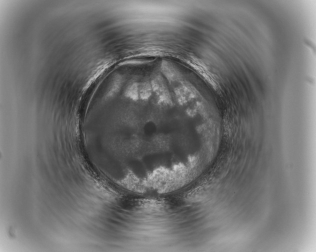 X0000095530347200712281527