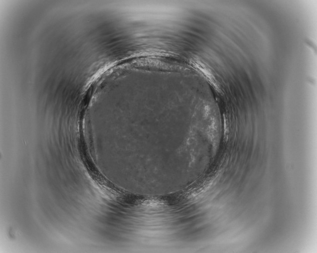 X0000095530348200712281527