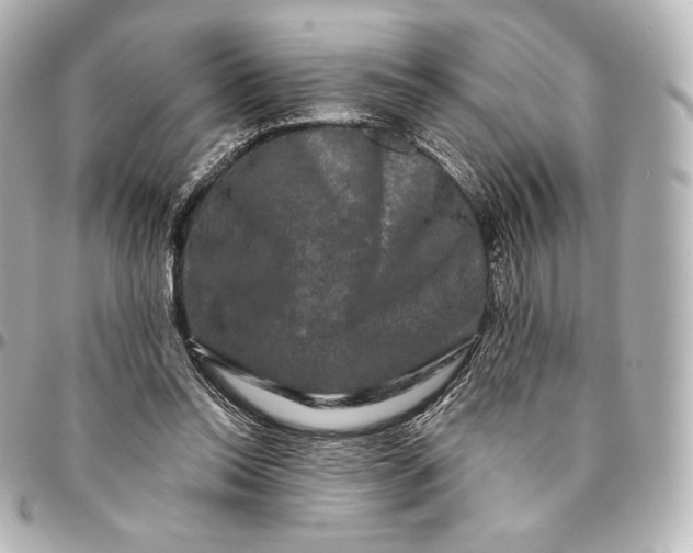X0000095530350200712281527