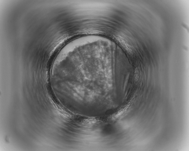 X0000095530351200712281527
