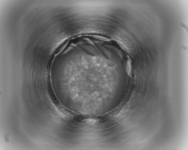 X0000095530352200712281527