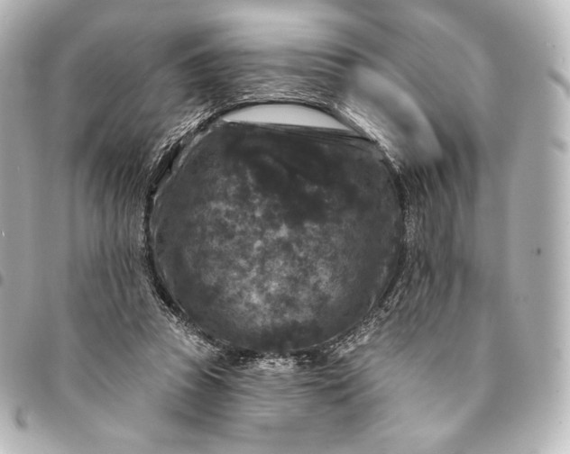 X0000095530353200712281527