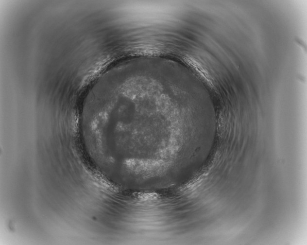 X0000095530355200712281527