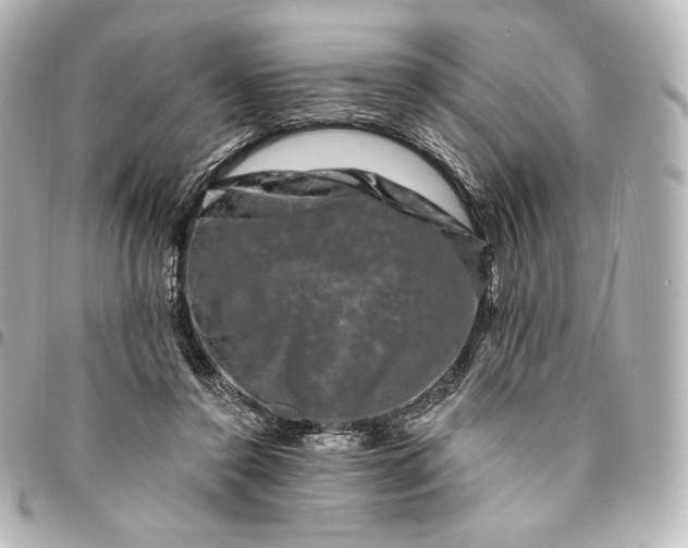 X0000095530356200712281527