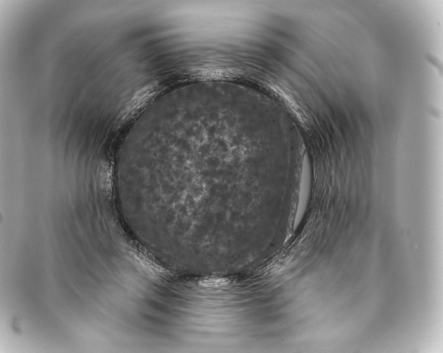 X0000095530357200712281527