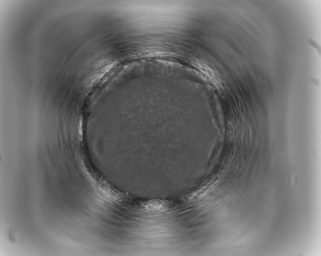 X0000095530358200712281527