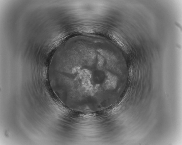 X0000095530359200712281527