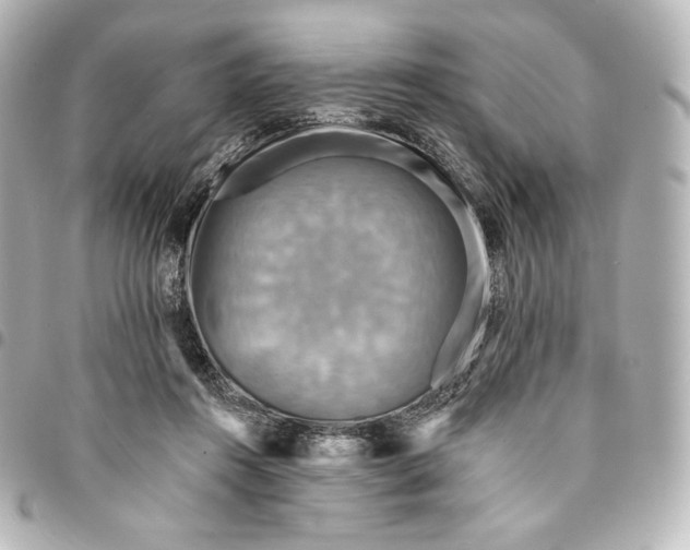 X0000095530360200712281527