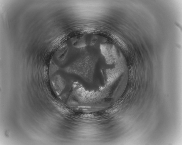 X0000095530361200712281527