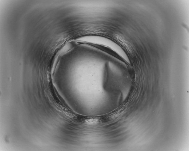 X0000095530362200712281527