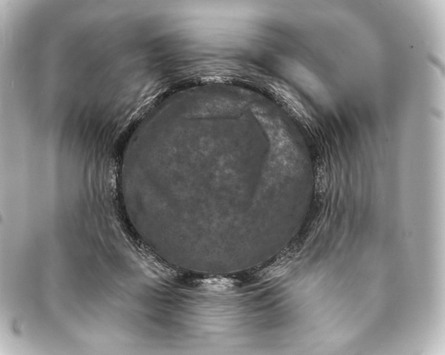 X0000095530363200712281527