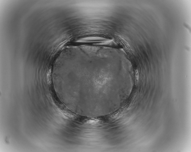 X0000095530364200712281527