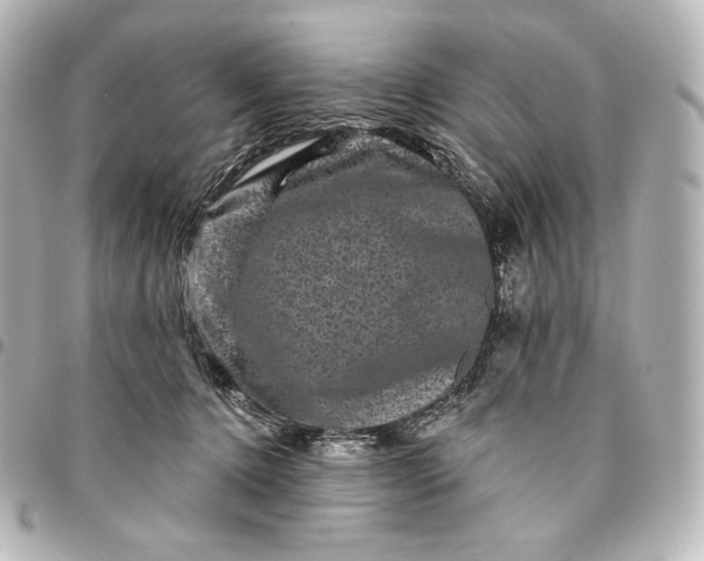 X0000095530368200712281527