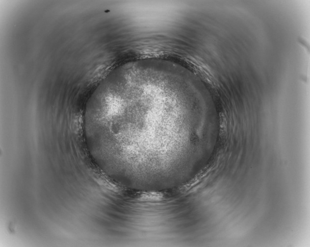 X0000095530369200712281527