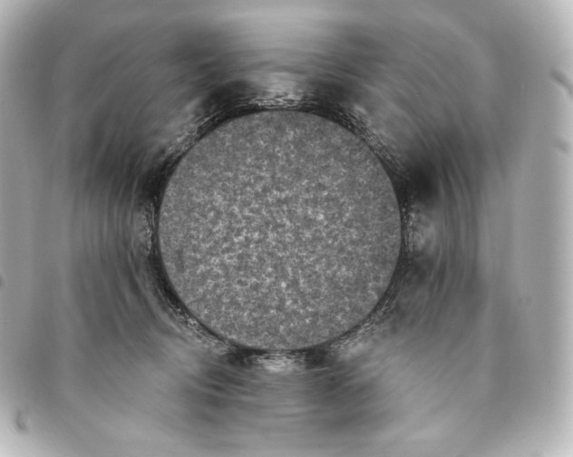 X0000095530370200712281527