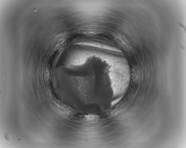 X0000095530371200712281527