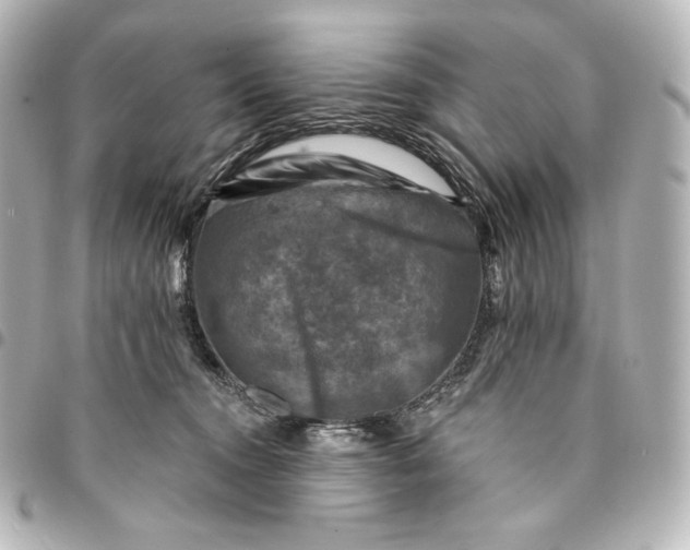 X0000095530372200712281527