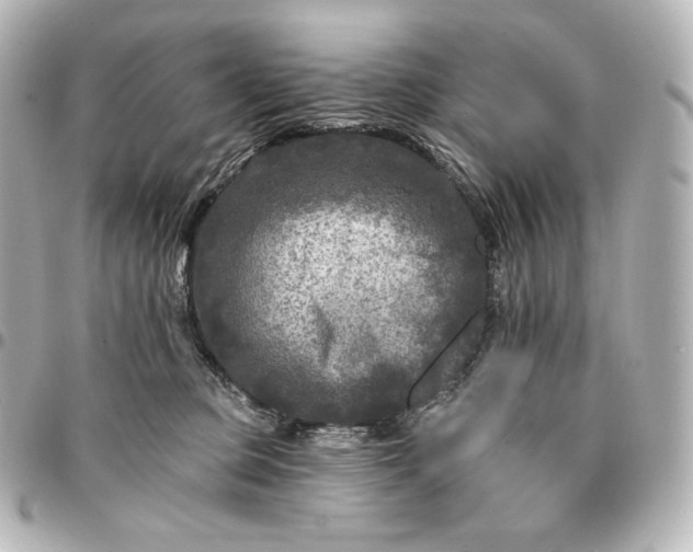X0000095530373200712281527